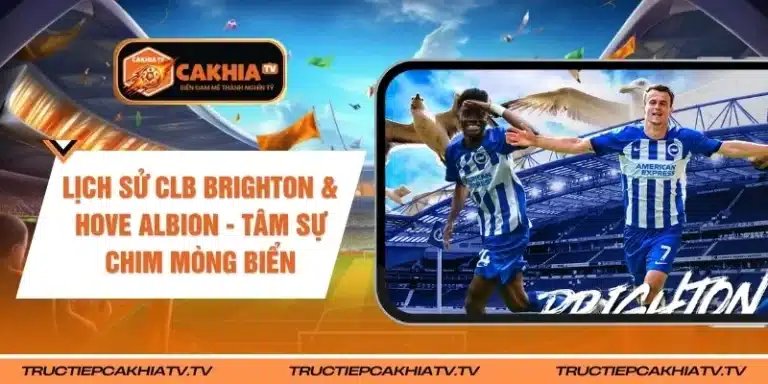 Lịch Sử CLB Brighton & Hove Albion