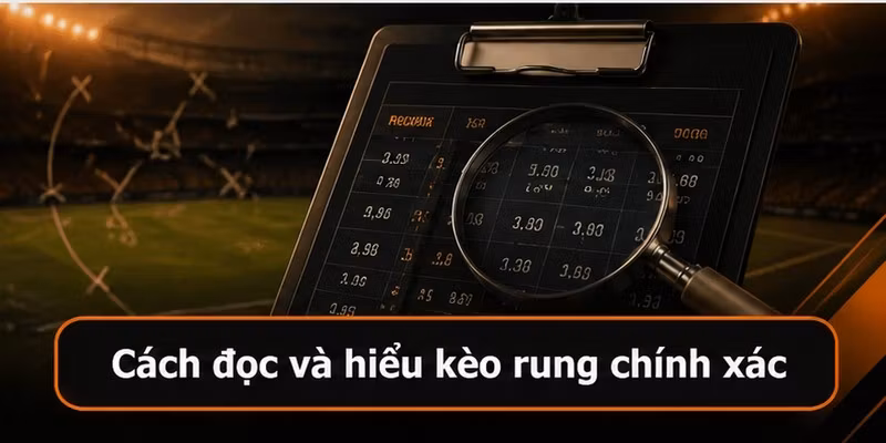 Cách đọc và hiểu kèo rung chính xác